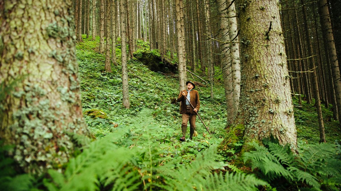 Walter Mooslechner im Wald